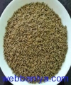 2023870206_Cumin seeds.jpg